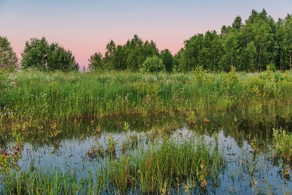 Solnedgång Nära Sommarsjön — Stockfoto