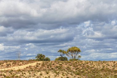 Lagos, Algarve, Portekiz 'deki Meia Praia plajı yakınlarındaki çöl manzarası.