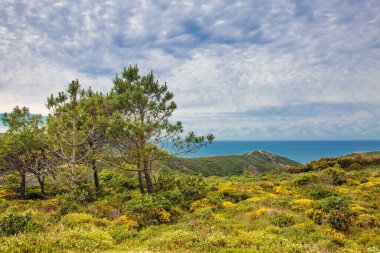 Arka planda dağlar, vadi ve okyanus manzarası, Portekiz 'in güneyinde Algarve bölgesinin Batı Atlantik kıyıları.