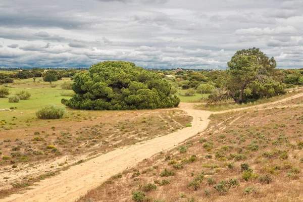 Woestijnlandschap Nabij Meia Praia Strand Lagos Algarve Portugal — Stockfoto