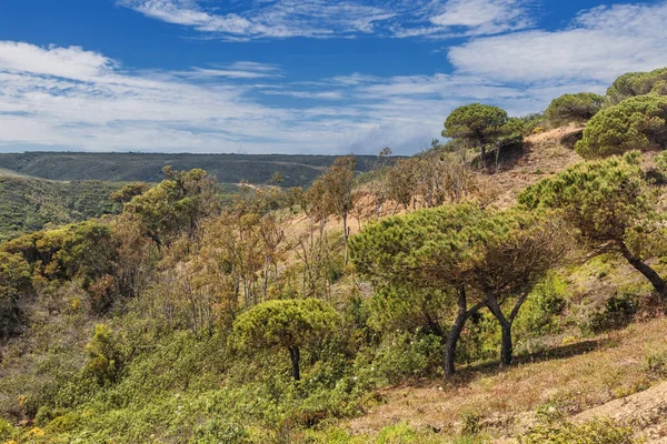 Prachtig Landschap Met Een Groene Vallei Omgeven Door Lage Bergen — Stockfoto