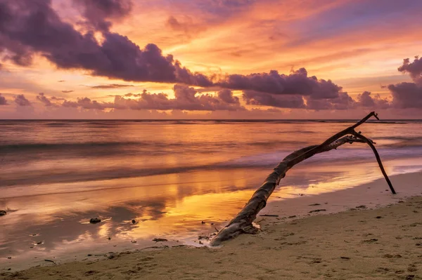 Oud Houten Addertje Onder Het Gras Tropisch Strand Bij Mooie — Stockfoto