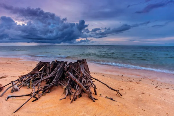 Oud Houten Addertje Onder Het Gras Tropisch Strand Bij Mooie — Stockfoto