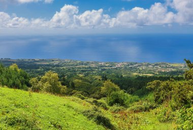 Sao Miguel Adası, Azores, Portekiz 'in dağları, vadileri, gölü ve kıyı şeridi manzaralı. Ortanca çiçekleri ön planda