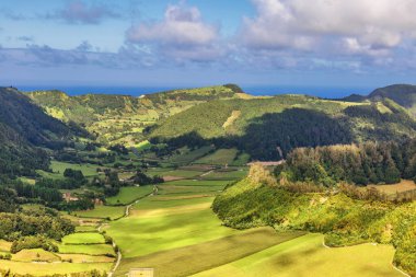 Sao Miguel Adası, Azores, Portekiz 'in dağları, vadileri, gölü ve kıyı şeridi manzaralı. Ortanca çiçekleri ön planda