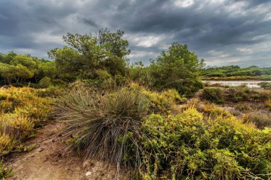 Kasvetli gökyüzü altındaki manzara, Es Trenc plajı, ses Salines, Mallorca adası, İspanya Akdeniz, Balear Adaları.