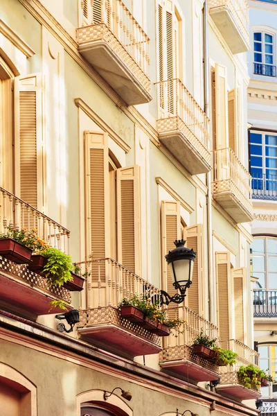 Saksı çiçekleriyle süslenmiş balkonlar.