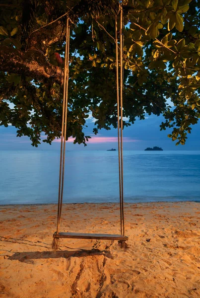 日没の背景にビーチでスイングとパーム ロイヤリティフリーのストック画像
