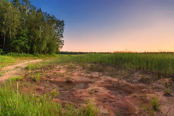 Sendero Campo Atardecer Verano — Foto de Stock