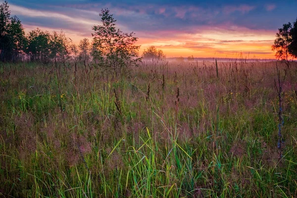 夏のフィールドでカラフルな夕日と風景 — ストック写真