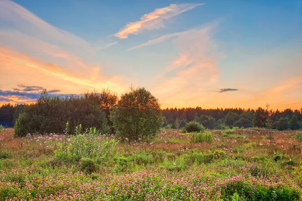 夏のフィールドでカラフルな夕日と風景 — ストック写真