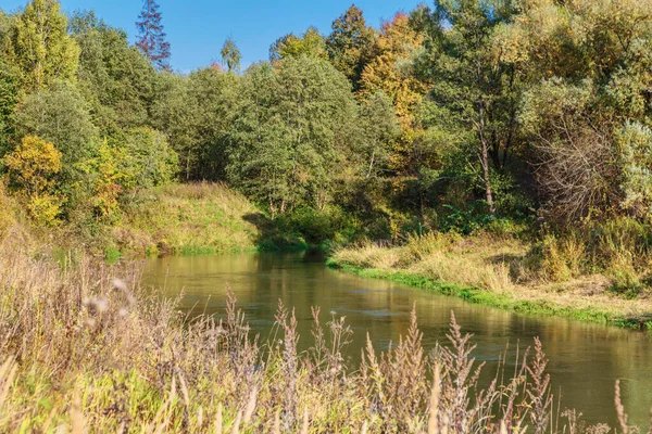 Sommar Flod Nära Skogen Solljus Landskap — Stockfoto