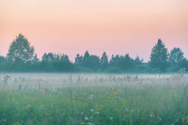 夏のフィールドで霧の夕日 — ストック写真
