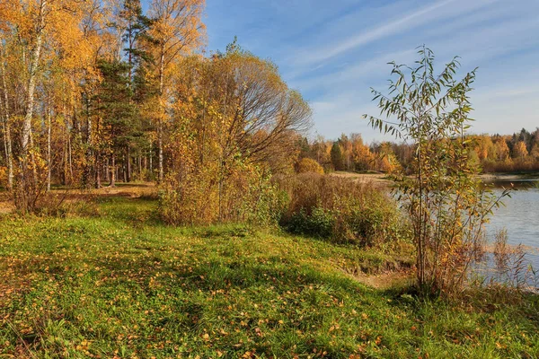 Lago Autunnale Vicino Alla Foresta Paesaggio Naturale — Foto Stock