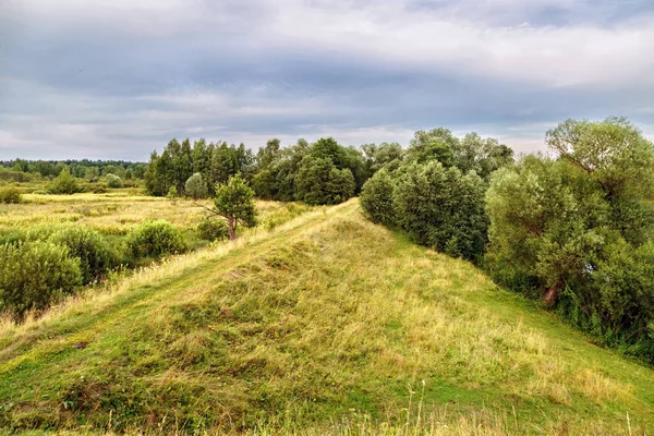 Idylliskt Gångstig Genom Fält Och Skog Natur Bakgrund — Stockfoto