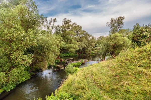 Sommar Flod Nära Skogen Solljus Landskap — Stockfoto