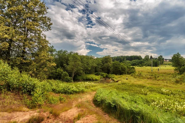 Tarlalardan ve ormandan geçen ideal patika, doğa arka planı.. 