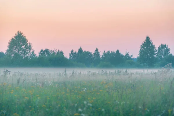 Foggy Tramonto Nel Campo Estivo Fotografia Stock