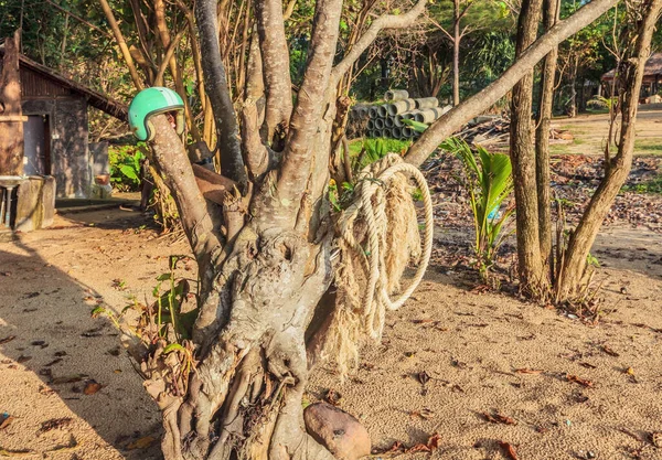 Rep Och Hjälm Vid Träd Solnedgångsljus Vid Tropisk Strand — Stockfoto