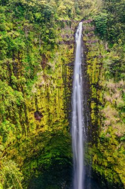Akaka Hilo, Büyük Ada, Hawaii ABD 'ye yakın düştü 
