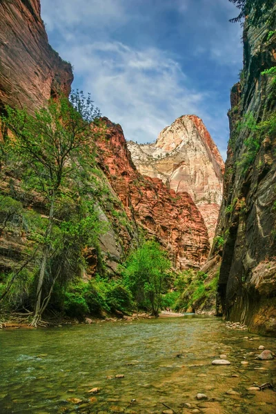 Vista Rio Virgem Como Ele Ventos Através Parque Nacional Sião — Fotografia de Stock