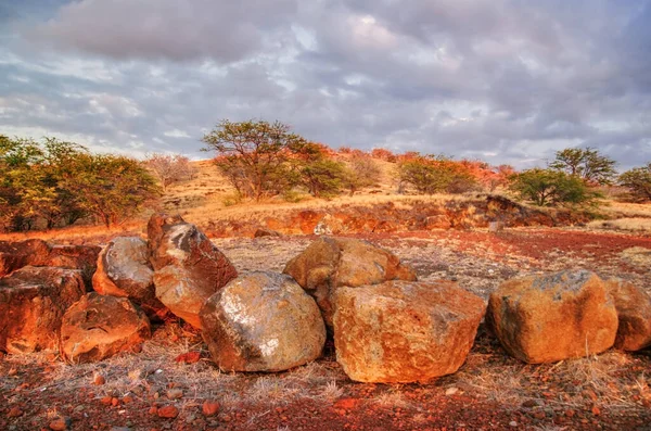 Árboles Piedras Las Luces Del Atardecer Fotografiado Big Island Hawai —  Fotos de Stock