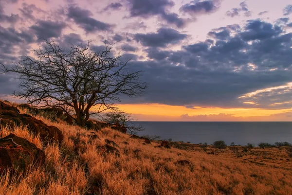 Tramonto Colorato Intorno Campo All Oceano Grande Isola Hawaii — Foto Stock