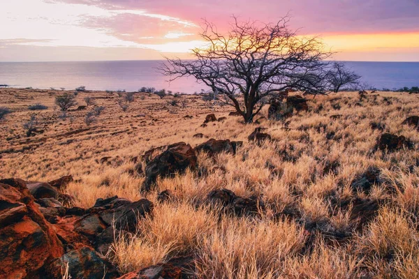 Coucher Soleil Coloré Autour Champ Océan Grande Île Hawaï — Photo