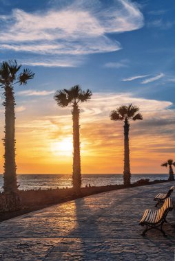 Gün batımında deniz boyunca palmiyelerle taş kaldırım. Tenerife. Kanarya Adaları. İspanya