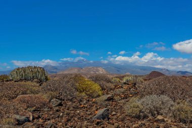 İspanya, Kanarya Adaları, Tenerife 'deki volkanik vadi ve dağların hava manzarası 