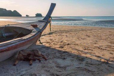 Sahilde eski Tayland balıkçı teknesi. Phi phi Adası. Tayland 