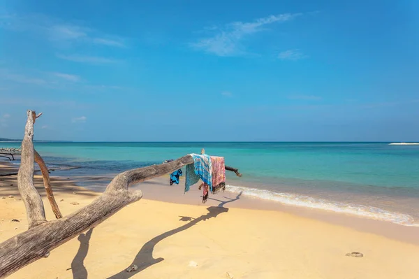 ビーチの服は熱帯のビーチで古い木の幹で乾燥しています タイのプーケット — ストック写真