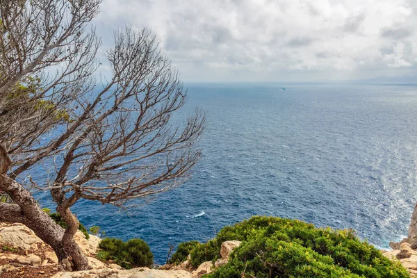 Manzara Kasvetli Dramatik Gökyüzü Cape Formentor Altında Bir Fırtına Öncesi — Stok fotoğraf