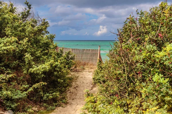 Zomer Strand Met Smaragdgroen Kristalhelder Water Onder Dramatische Hemel Playa — Stockfoto