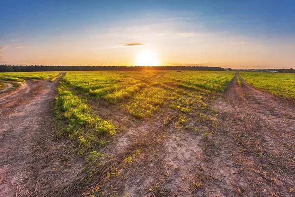 Strada in campo tramonto — Foto Stock