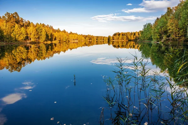 Herbstlicher See in der Nähe des Waldes — Stockfoto