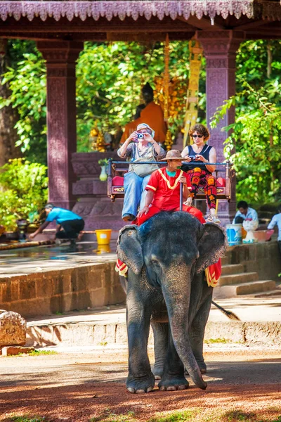 Touristen reiten auf einem Elefanten — Stockfoto