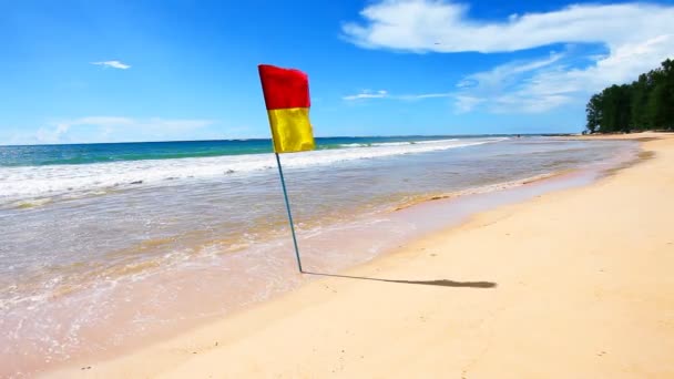 Bandera de seguridad en una playa — Vídeo de stock