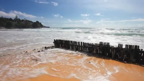 Güzel tropikal plaj — Stok video