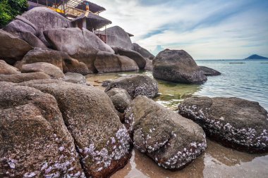 Egzotik tropikal plaj.