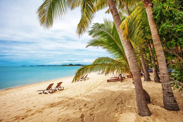 Praia tropical sob céu sombrio — Fotografia de Stock