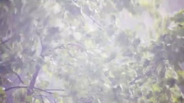 yağmurlu ve rüzgarlı bir sonbahar gecesi hava durumu