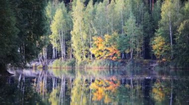 Sonbahar göl yüzeyine