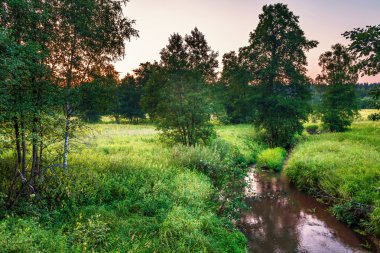 Yaz günbatımında alan ve nehir