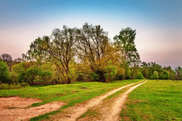 Road in sunset field — Stock Photo, Image