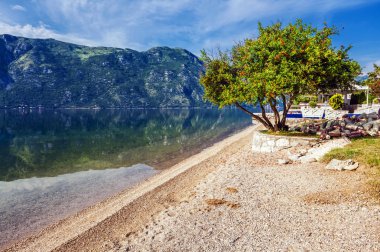 güzel dağ ve Deniz Manzaralı
