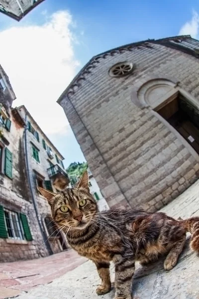 Fish-eye άποψη της παλιάς πόλης στο φόντο του ουρανού — Φωτογραφία Αρχείου