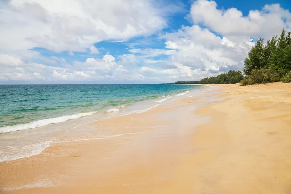 Exotisch tropisch strand. — Stockfoto