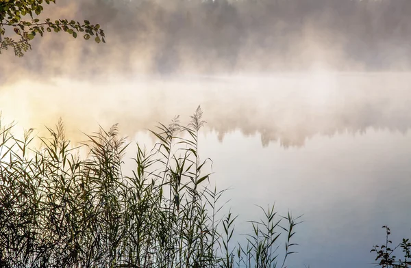 Mistig meer — Stockfoto