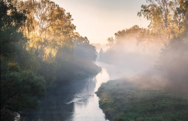 Mistige rivier — Stockfoto